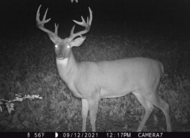 1217:091221:56F:0000:CAMERA7:2E[099:0453]G[040:0x0036]