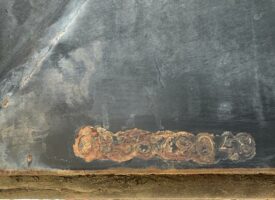 IMG-1530