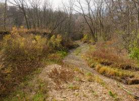 Clairmont Lots-12