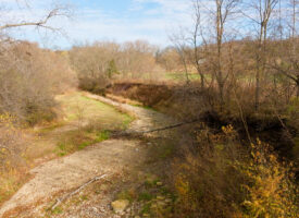 Clairmont Lots-13
