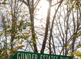 Clairmont Lots-6
