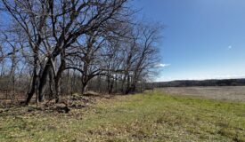 2 Properties Marquette County Online Only Auction