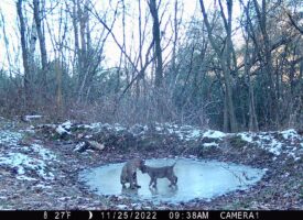 P02[840:837] TT[767] E[118:0000]G[000:0x00] BV[80:5] IR[F:40] 2537