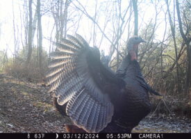 P02[860:859] TT[767] E[137:0000]G[000:0x00] BV[118:-14] IR[F:40] 2234