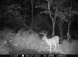 P02[0:0] TT[814] E[074:0000]G[192:0x00] BV[-7:0] IR[F:40] 2116