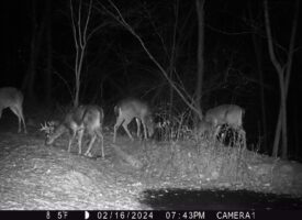 P02[0:0] TT[804] E[080:0000]G[192:0x00] BV[3:-4] IR[F:40] 2214