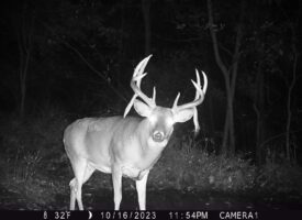 P02[0:0] TT[1204] E[080:0000]G[146:0x00] BV[16:-5] IR[M:30] 2591