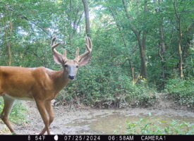 P02[452:454] TT[767] E[107:0000]G[108:0x00] BV[51:-4] IR[F:40] 2409