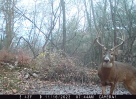 P02[147:151] TT[767] E[098:0000]G[192:0x00] BV[20:-3] IR[F:40] 2407