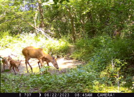 P02[812:813] TT[767] E[113:0000]G[000:0x00] BV[82:-2] IR[F:40] 2248