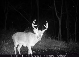 P02[0:0] TT[804] E[080:0000]G[148:0x00] BV[8:2] IR[F:40] 2422