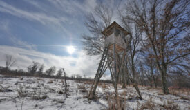 159.54 Acre Adams County property Near Nekoosa, WI
