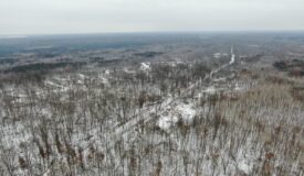 81.54± acre parcel in the Town of Clearfield, Juneau County