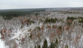 120± Acre Property in the Town of Clearfield, Juneau County