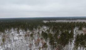 80± acre parcel in the Town of Necedah, Juneau County