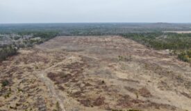 80 Acres of Juneau County Timber Land