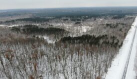 81.64± Acre Parcel in the Town of Clearfield, Juneau County