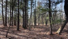 40-Acre Recreational Hunting Tract in Central Monroe County
