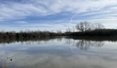 Online Auction Kansas 60 Acres of multiple use land