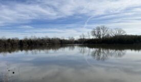 Online Auction Kansas 60 Acres of multiple use land