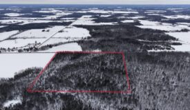 43+/- Acre Marathon County Hunting, Timber and Rec Tract For Sale