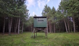 160± acre Monroe County property Located off dead end road,