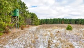 160± acre Monroe County property Located off dead end road,