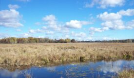 Trophy Whitetail Deer Hunting Columbia County Wisconsin