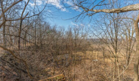 50 Acre Recreational -Hunting Land For Sale Richland County WI