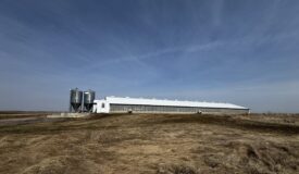 3.5± acre livestock facility located in the Town of Richmond