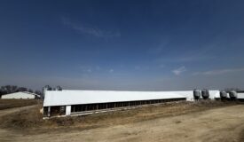 Versatile 43± acre farm in the Town of Lowell, Dodge County