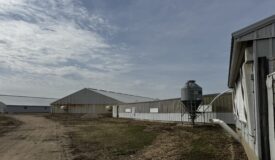 89 acre farm in the Town of Sugar Creek, Walworth County