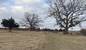 44± Acre Premier Duck and Deer Hunting Property Marquette Cty WI