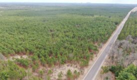 80± acre timber tract in the heart of northern Adams County