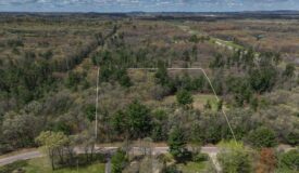 3.6-Acre Wooded Build Site & Hunting Land for Sale Near Tomah, Wisconsin | Food Plot, Box Blind & Country Living
