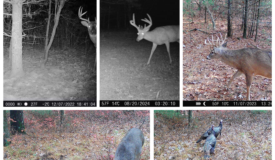 17.54-Acre Adams County, Wisconsin Buildable Land for Sale | Recreational, Investment & Development Potential