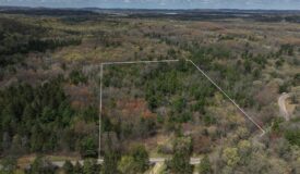 6.73-Acre Wooded Build Site & Hunting Land for Sale Near Tomah, Wisconsin | Privacy, Wildlife & Country Living