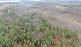 80 Acre Portage County Timber Tract For Sale