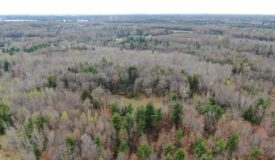 Portage County 40 Acre Hunting and Rec Property for Sale