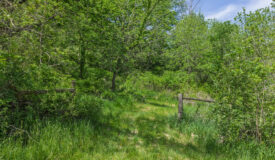 8± Acres with Spring & Cabin Site in Richland County, WI | Driftless Region Recreational Land for Sale
