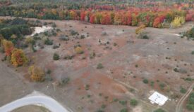 94 Acres of Prime Northern Michigan Land – Surveyed, Buildable, & Loaded with Wildlife