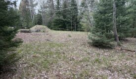 25+ Acres w/ Build Site + State Land Access – Hunt & Build in One Spot