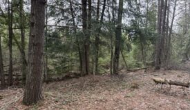 33.5 Acres – Ultimate Hunting Basecamp w/ US-131 Frontage + Direct State Land Access