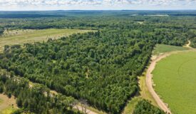 65+/- Acres of Turnkey Whitetail Country — Minutes from Castle Rock Lake