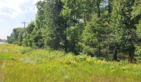 Prime whitetail deer hunting Waushara County WI