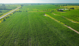 Exceptional ±38-acre farm in Clarke County near Woodburn, Iowa