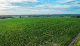 ±110-acre Lucas County farm near Woodburn IA