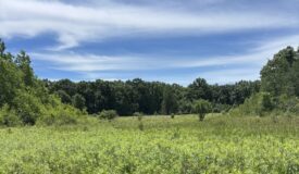 68± Acres of Timber, Water & Recreation | Monroe County, Wisconsin