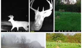 50-Acre Private Fishery & Recreational Estate | Tomah, Wisconsin
