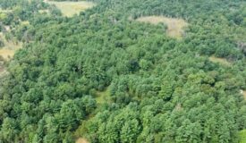 Rare opportunity to own 17.54 wooded acres within the City of Adams